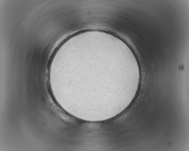 X0000113961040200911061321
