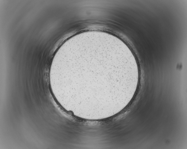 X0000113961041200911061321