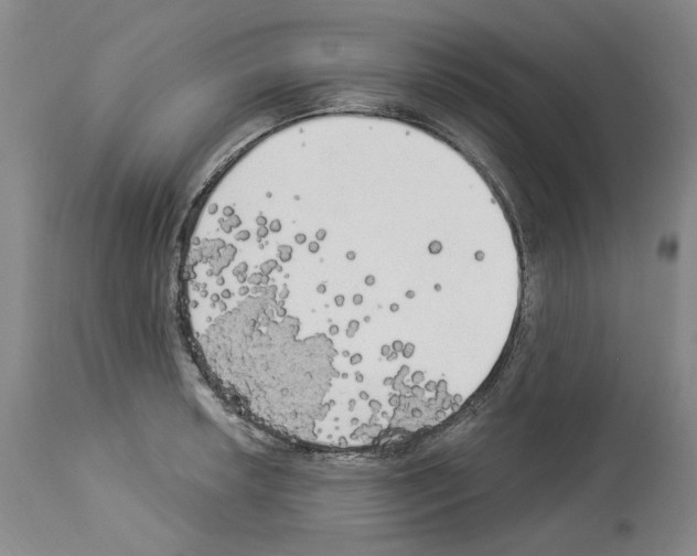 X0000113961042200911061321