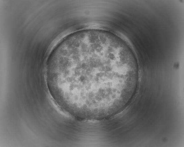 X0000113961043200911061321