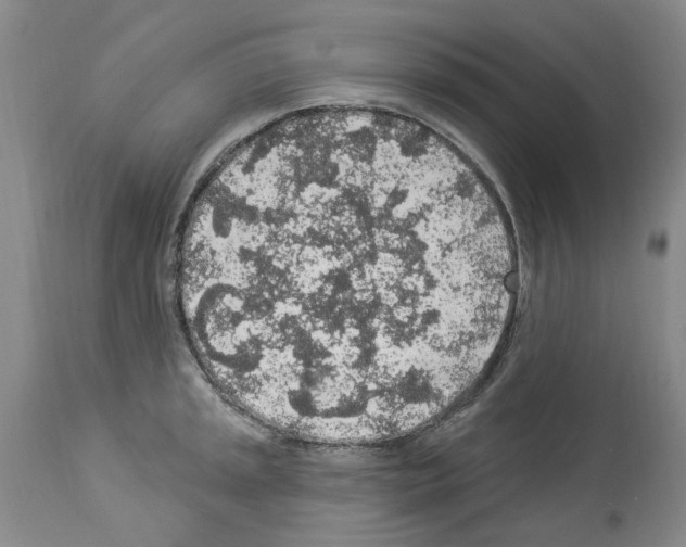 X0000113961045200911061321
