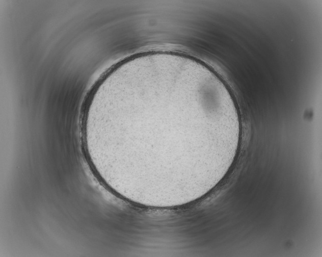 X0000113961046200911061321