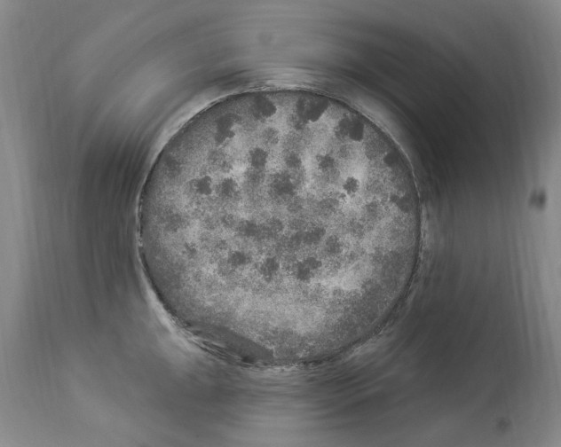 X0000113961047200911061321