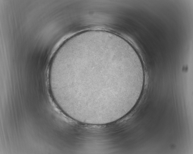 X0000113961048200911061321