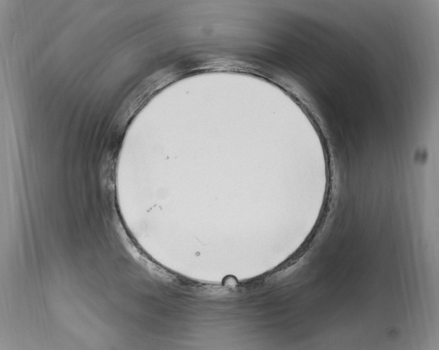 X0000113961049200911061321