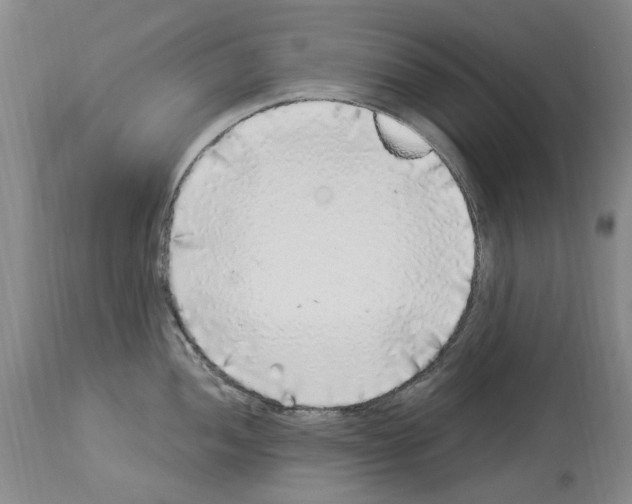 X0000113961052200911061321
