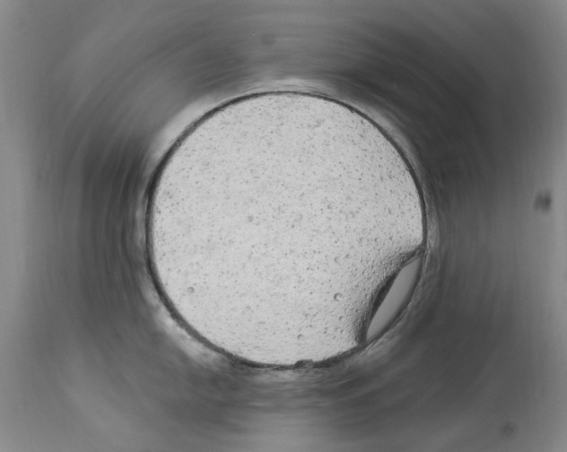 X0000113961054200911061321