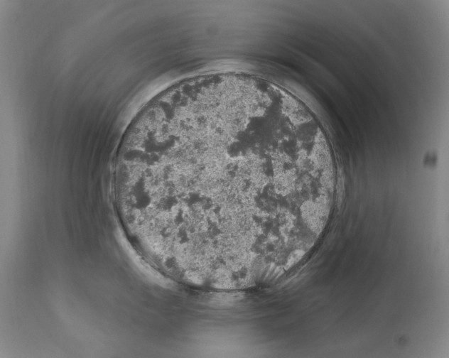 X0000113961055200911061321