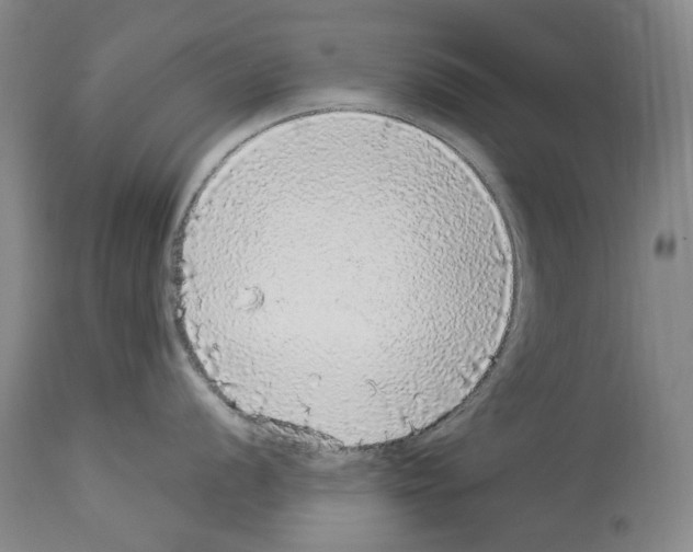 X0000113961056200911061321