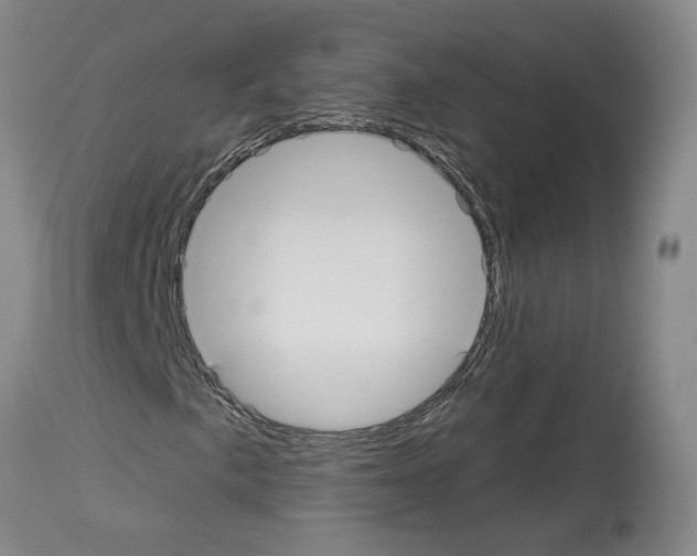 X0000113961057200911061320