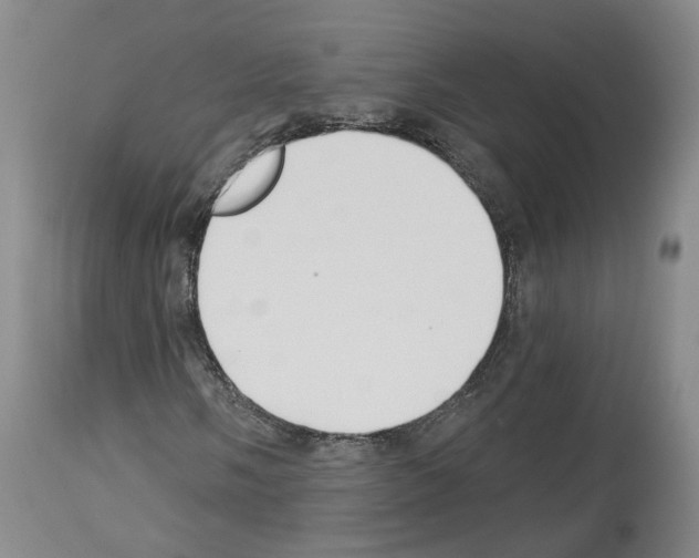 X0000113961058200911061320