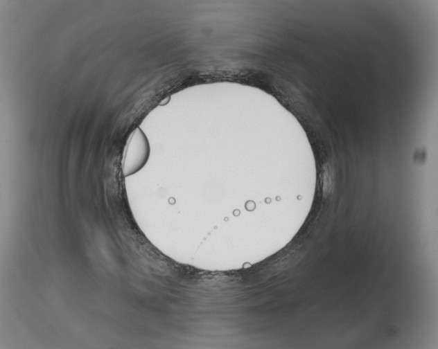X0000113961059200911061320