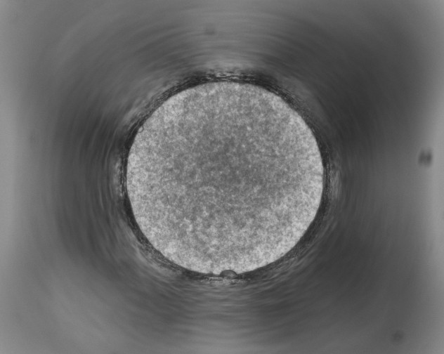 X0000113961060200911061320