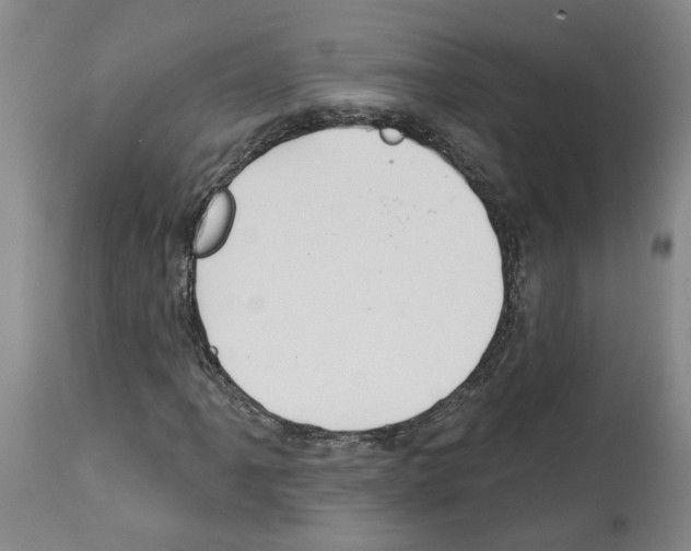 X0000113961061200911061320