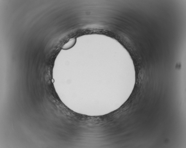 X0000113961062200911061320