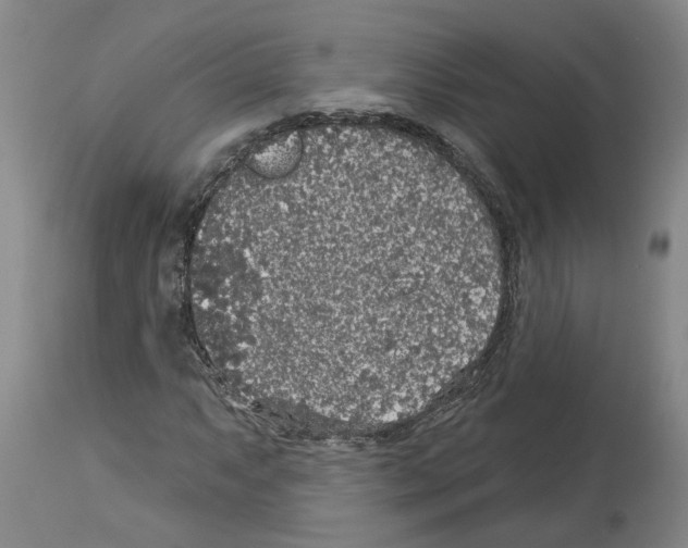 X0000113961063200911061320