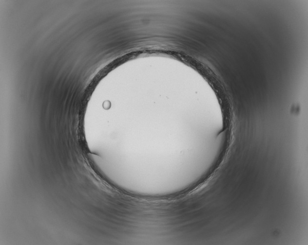 X0000113961065200911061320