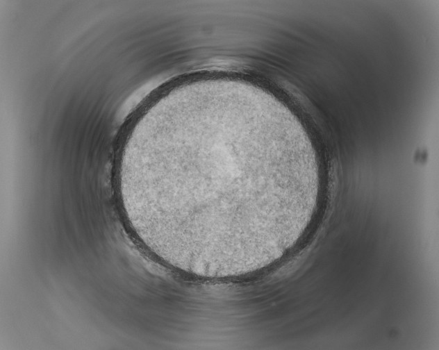 X0000113961066200911061320