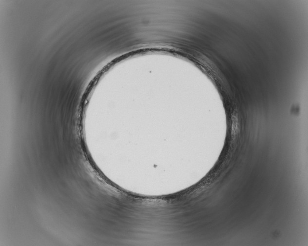 X0000113961068200911061320