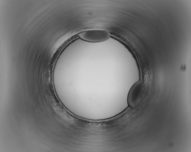X0000113961069200911061320