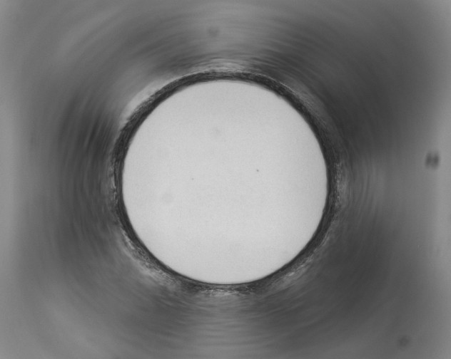 X0000113961070200911061320