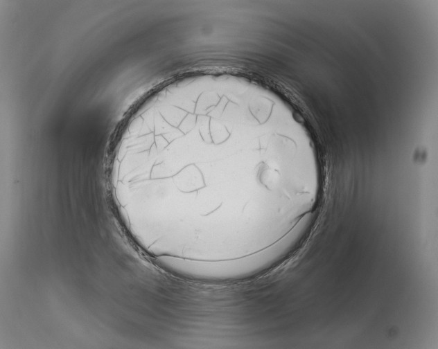 X0000113961071200911061320