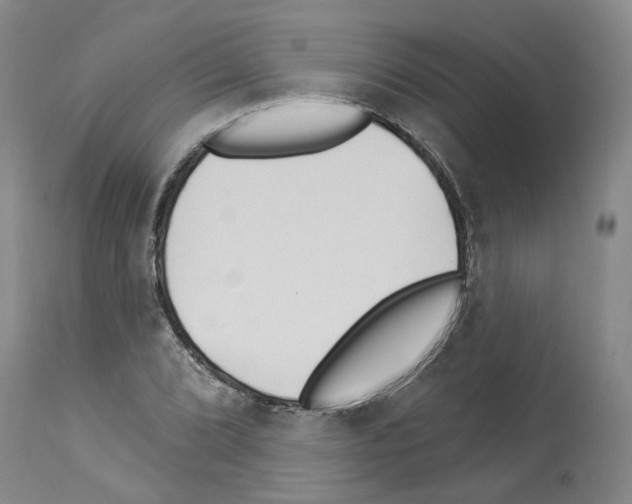 X0000113961072200911061320
