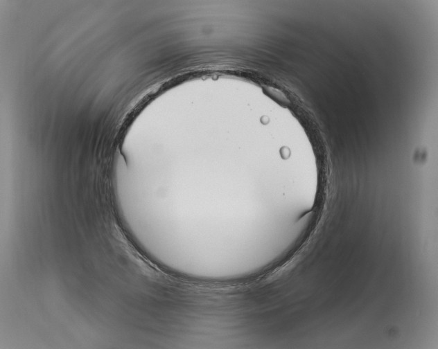 X0000113961073200911061320