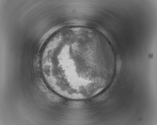 X0000113961074200911061320