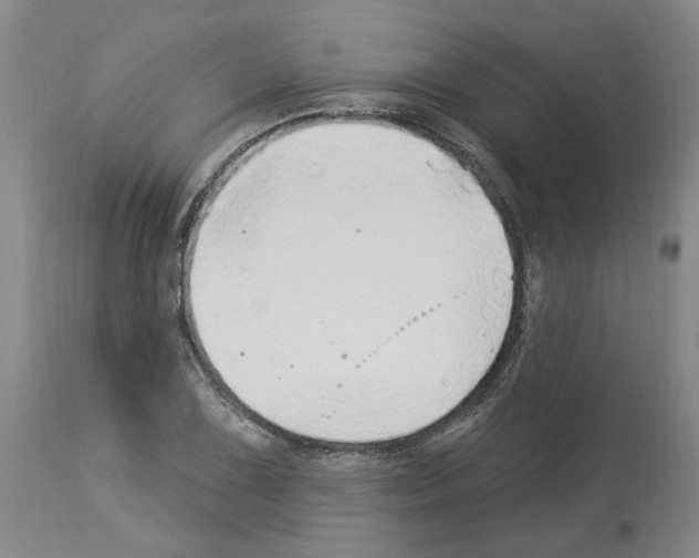 X0000113961075200911061320