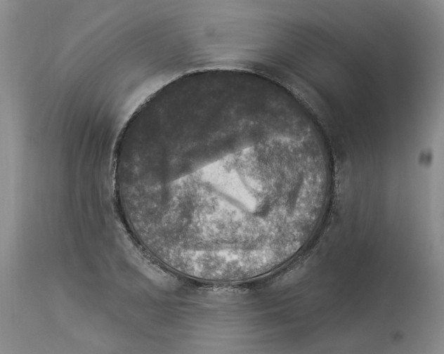 X0000113961077200911061320