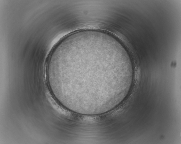 X0000113961078200911061320