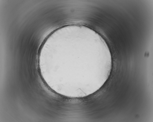 X0000113961079200911061320