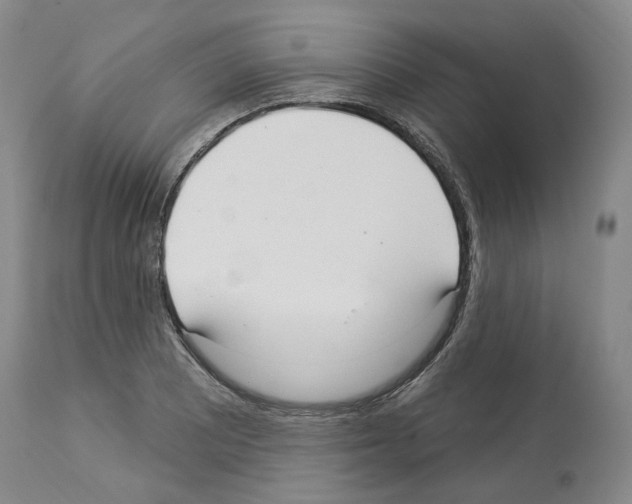 X0000113961081200911061320