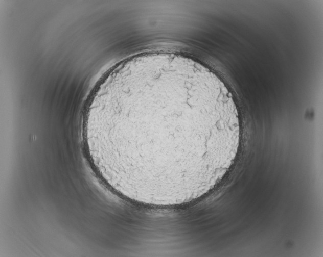 X0000113961083200911061320