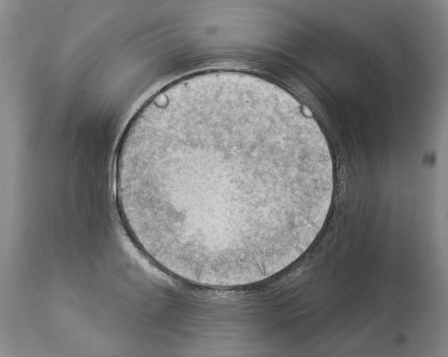 X0000113961084200911061320