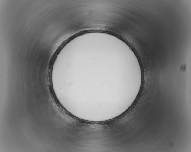 X0000113961085200911061320