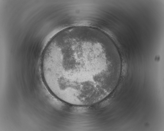X0000113961086200911061320