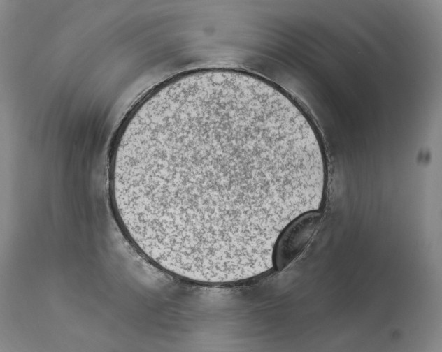 X0000113961088200911061320