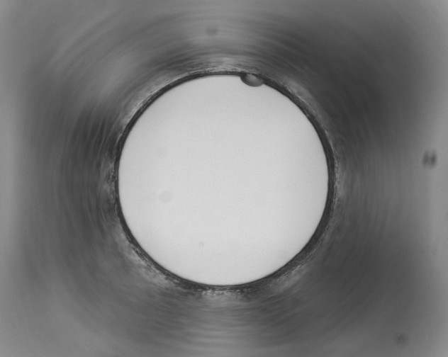X0000113961089200911061320