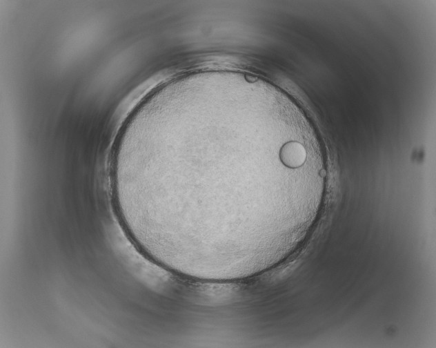 X0000113961090200911061320