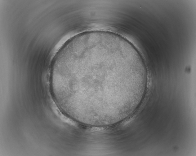 X0000113961094200911061320