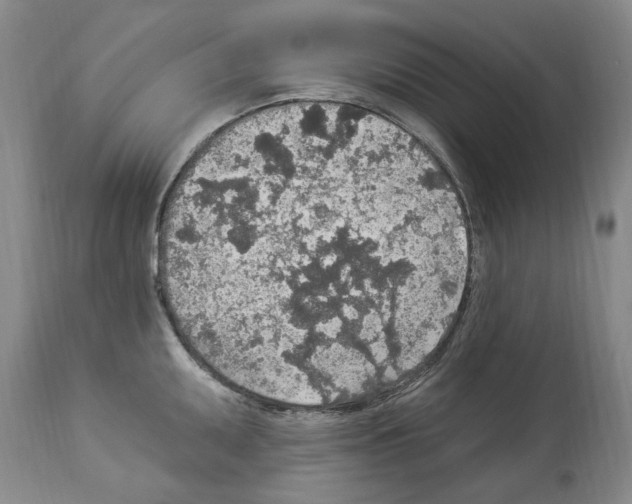 X0000113961095200911061320