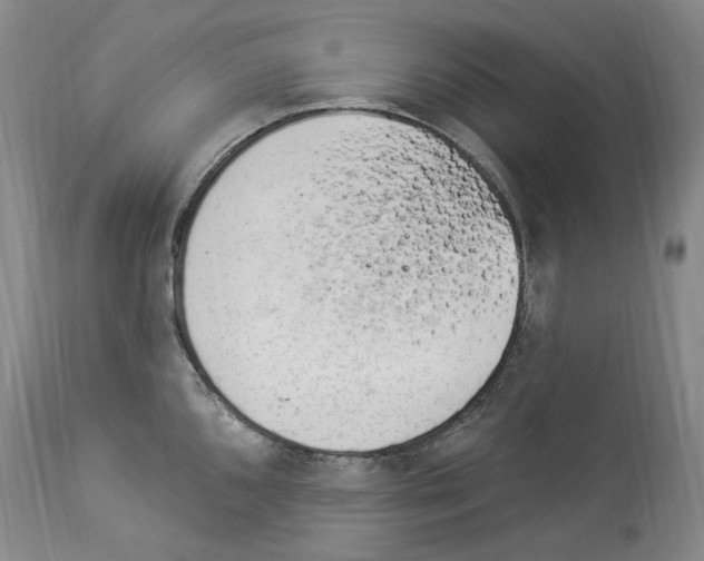 X0000113961096200911061320