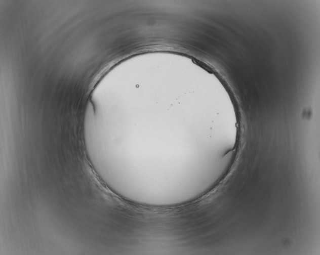 X0000113961097200911061320