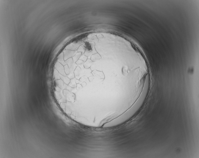 X0000113961099200911061320
