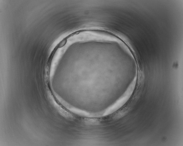 X0000113961101200911061320