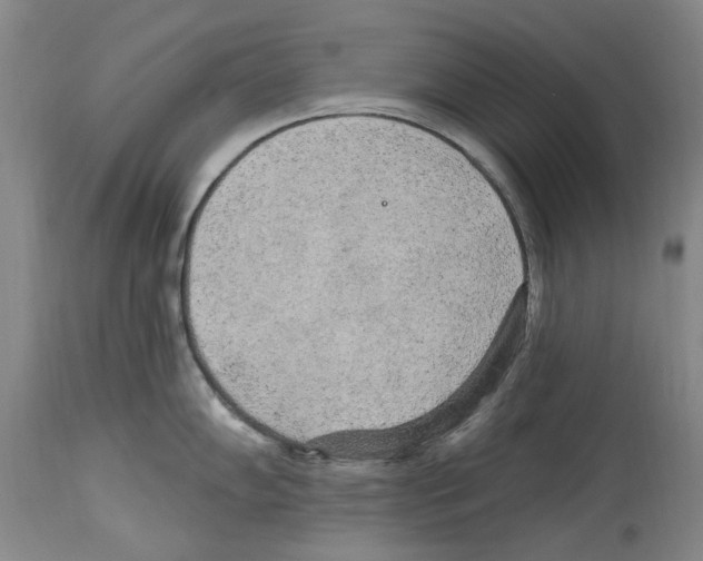 X0000113961102200911061320
