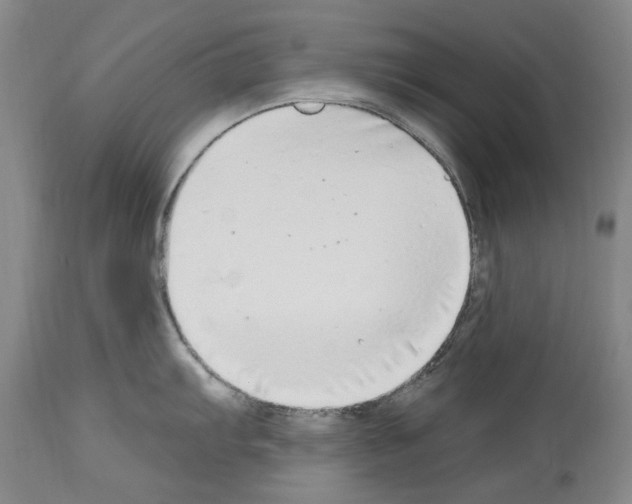 X0000113961103200911061320