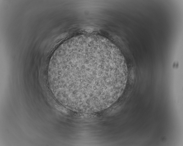 X0000113961105200911061319